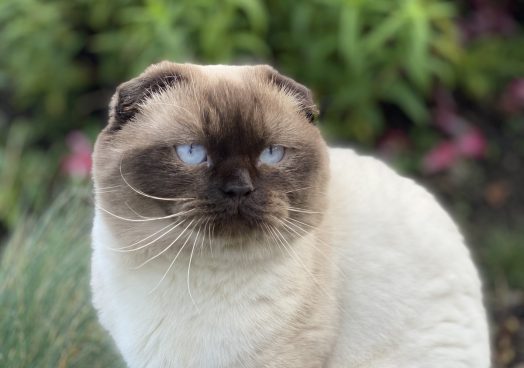 viber_image_2025-11-08_13-08-41-682